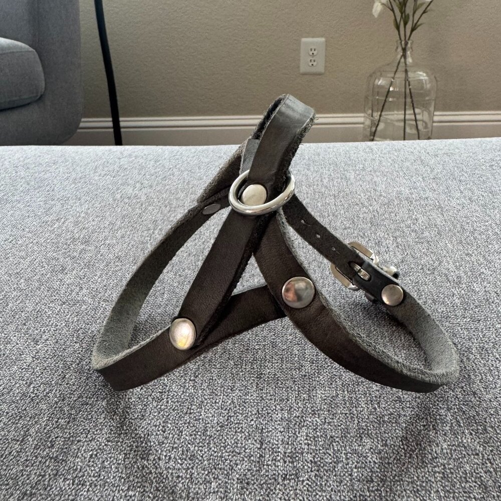 Molly & Stitch Butter Leather Dog Harness